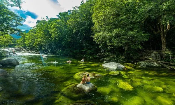 Mossman Wildlife Tour