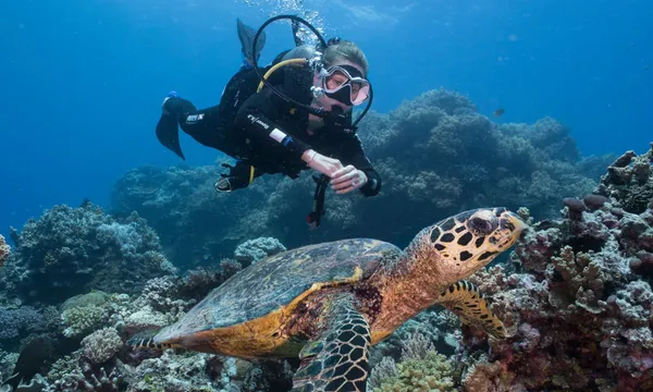 Overnight Snorkel & Dive