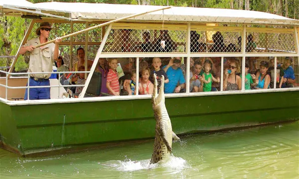 Hartley’s Crocodile Tour