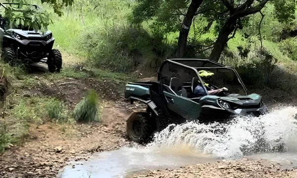 Offroad Buggy Tour